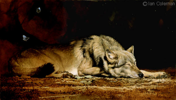 8183045.jpg