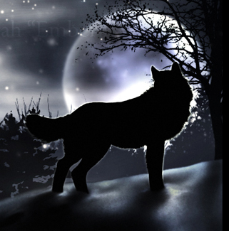 shadow_wolf.jpg