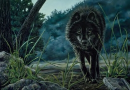 ShadowWolf.jpg