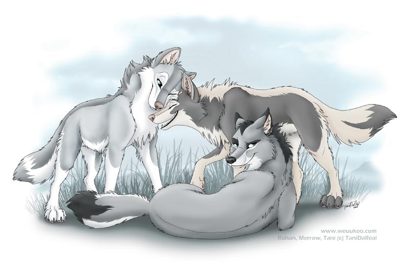 Three_sisters_by_TaniDaReal.jpg