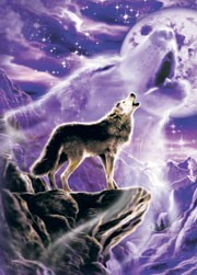 wolf.jpg