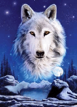 WolfSpirit.gif