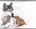 Wolves__Unfinished_Version_by_TheGuardianDragon.jpg